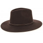 Shiller brown felt hat