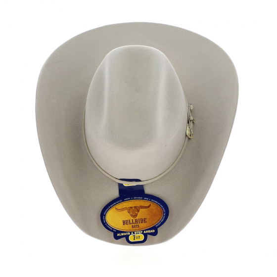 Chapeau Silvertone Beige Western - Country