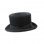 Beaver Top Hat