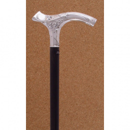 Silver cane