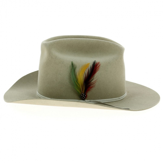 Cowboy hat Olly Feutre Poil Sable - Stetson