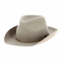 Cowboy Hat Duke Wolf Beige - Brixton