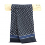 Ambroise Blue Silk Scarf - Traclet