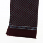 Leo burgundy and light blue silk scarf - Traclet