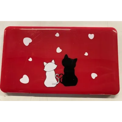 Boite de rangement rouge pour masque