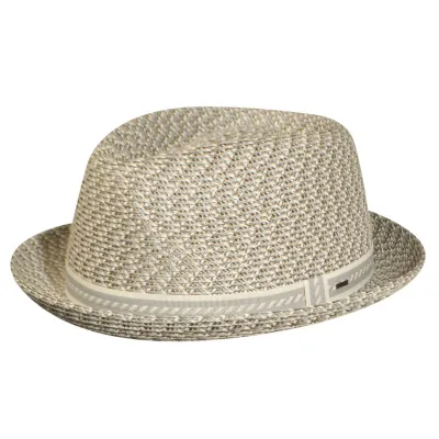 Chapeau Mannes Beige & Taupe - Bailey  Reference : 14636| Chapellerie Traclet