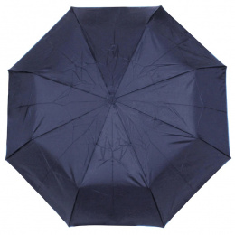 Mini Ultra Slim Navy Umbrella - Isotoner