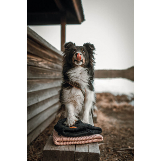 Bonnet à Revers Beacon Laine Mérinos - Super Yellow