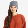 Bonnet Tricot Heist Gris - Brixton