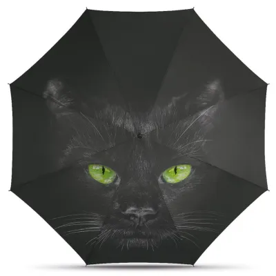 Parapluie Pliant Automatique Tête De Chat - Happy Rain Référence : 17772 chapellerie Traclet