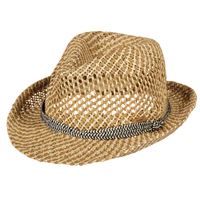 Trilby Hydrang Straw Paper Hat - Barts