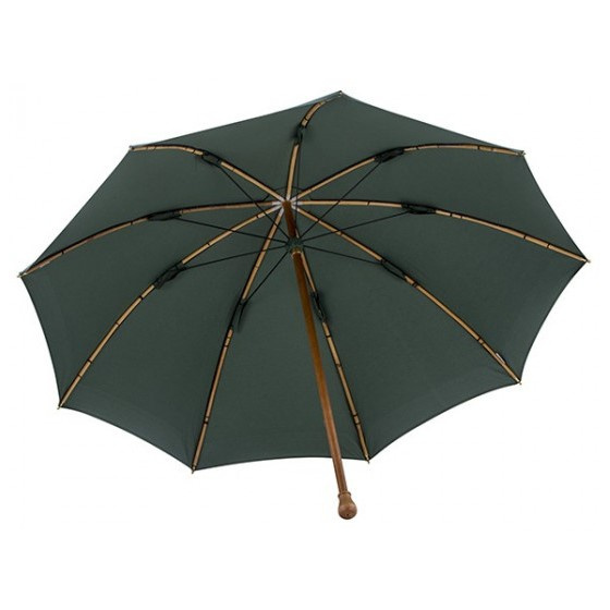 Green Shepherd's Umbrella
