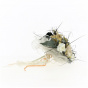 Wedding Bouquet and Comb Set - Traclet